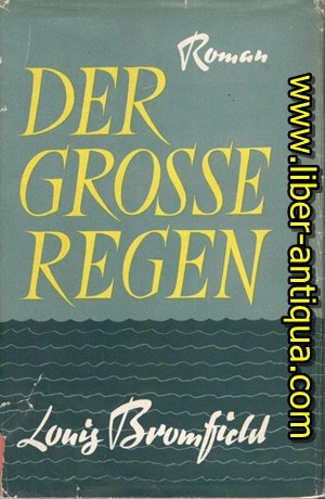 Der grosse Regen - Roman