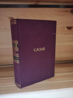 Caesar historischer Roman