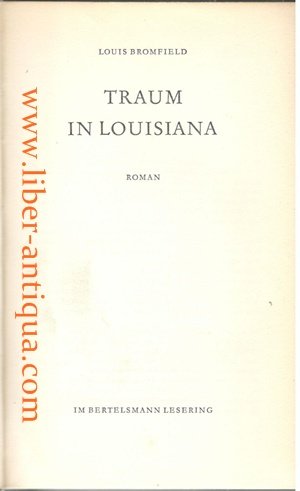 Traum in Louisiana - Roman