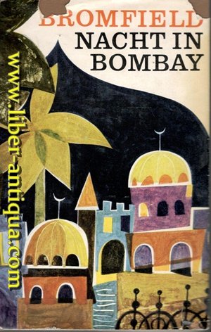 Nacht in Bombay - Roman