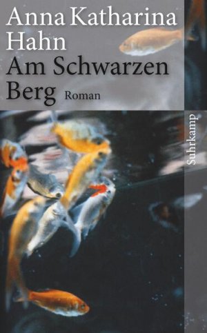 gebrauchtes Buch – Hahn, Anna Katharina – Am Schwarzen Berg: Roman (suhrkamp taschenbuch) Roman