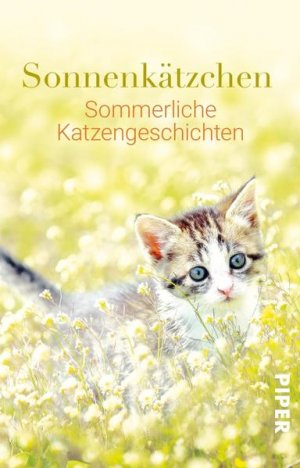 gebrauchtes Buch – Jone Heer – Sonnenkätzchen: Sommerliche Katzengeschichten Sommerliche Katzengeschichten