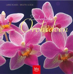 gebrauchtes Buch – Romeis, Ulrike und Brigitte Goede – Zauberhafte Orchideen Ulrike Romeis ; Brigitte Goede