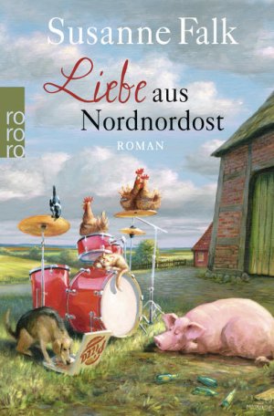 gebrauchtes Buch – Susanne Falk – Liebe aus Nordnordost Roman