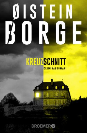 gebrauchtes Buch – Borge, Øistein und Andreas Brunstermann – Kreuzschnitt: Kriminalroman Kriminalroman