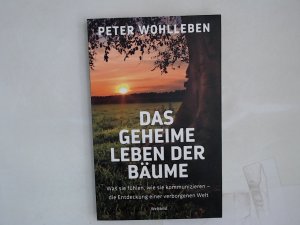 Das geheime Leben der Bäume : was sie fühlen, wie sie kommunizieren - die Entdeckung einer verborgenen Welt Peter Wohlleben