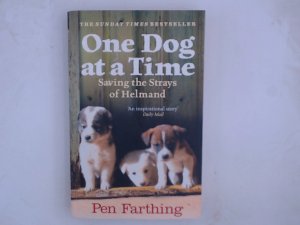 One Dog at a Time: An inspiring true story of saving the strays of Afghanistan