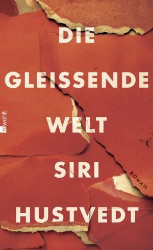 gebrauchtes Buch – Hustvedt, Siri und Uli Aumüller – Die gleißende Welt Roman