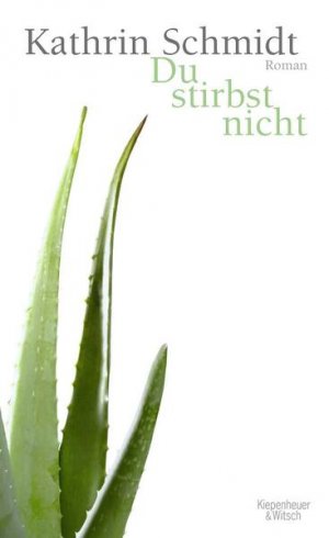 gebrauchtes Buch – Kathrin Schmidt – Du stirbst nicht: Roman Roman