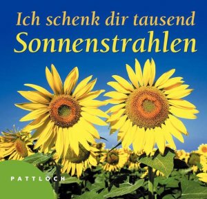 gebrauchtes Buch – Inka Heinemann – Ich schenk dir 1000 Sonnenstrahlen Inka Heinemann