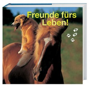 gebrauchtes Buch – Lana Herzig – Freunde fürs Leben! (Mitten ins Herz)