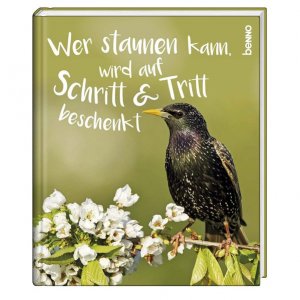 Geschenkbuch »Wer staunen kann, wird auf Schritt & Tritt beschenkt«