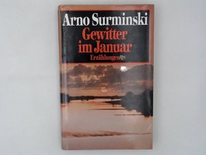 Gewitter im Januar : Erzählungen / Arno Surminski