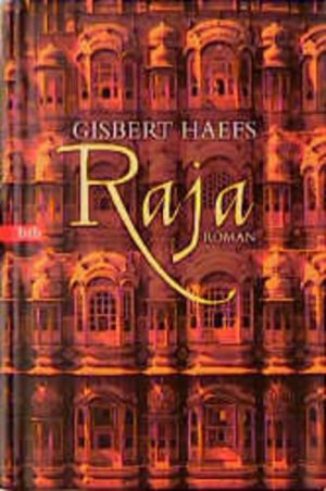 gebrauchtes Buch – Gisbert Haefs – Der Raja (btb-HC)