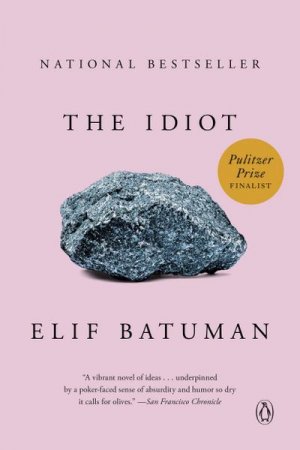 neues Buch – Elif Batuman – The Idiot