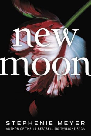 neues Buch – Stephenie Meyer – New Moon