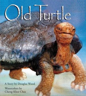 neues Buch – Douglas Wood – Old Turtle