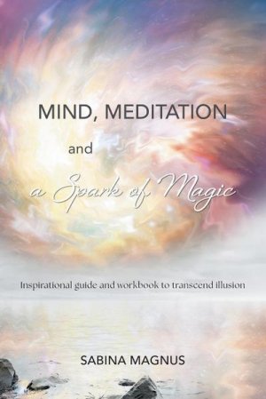 Mind, Meditation and a Spark of Magic