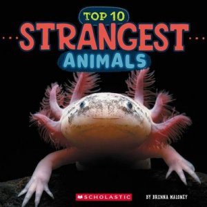 neues Buch – Brenna Maloney – Strangest Animals (Wild World: Top 10)