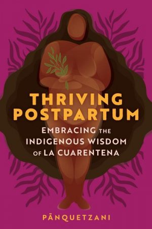 neues Buch – Pa& – Thriving Postpartum