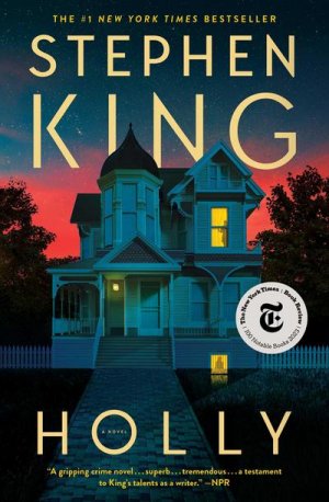 neues Buch – Stephen King – Holly