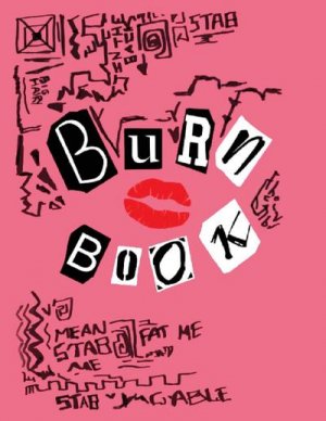 neues Buch – Burn Book Mean Girls – Mean Girls Burn Book