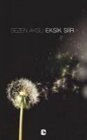 neues Buch – Sezen Aksu – Eksik Siir