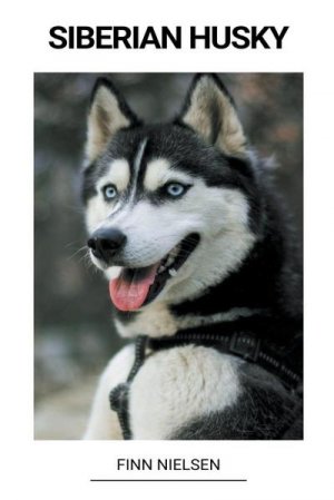 Siberian Husky