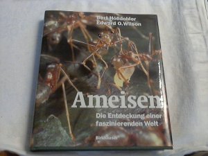 gebrauchtes Buch – Hölldobler, Bert und Edward O. Wilson – Ameisen : die Entdeckung einer faszinierenden Welt. Bert Hölldobler ; Edward O. Wilson. Aus dem Amerikan. von Susanne Böll