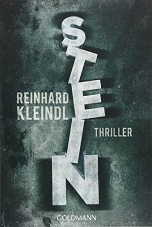 gebrauchtes Buch – Reinhard Kleindl – Stein: Thriller