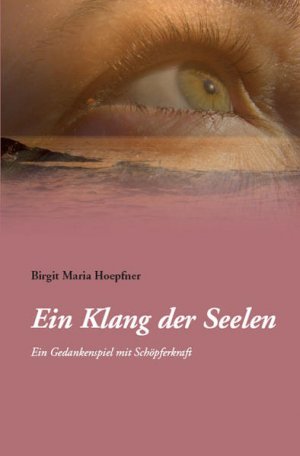 gebrauchtes Buch – Birgit Maria – Ein Klang der Seelen - ein Gedankenspiel mit Schöpferkraft