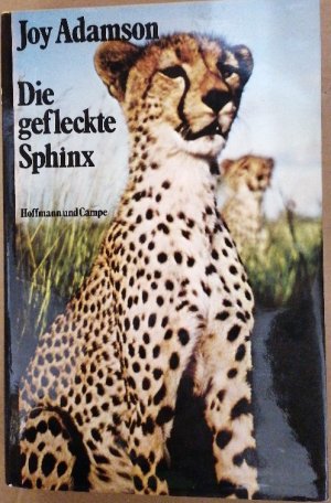 Die gefleckte Sphinx