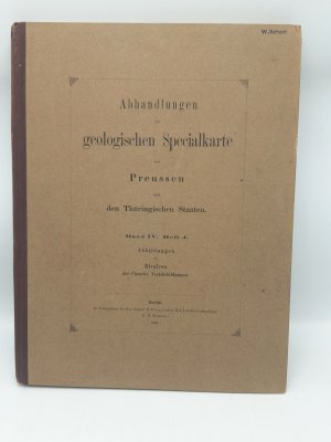 Die Bivalven der Casseler Tertiär-Bildungen. 31 Tafeln Abbildungen mit einem Vorwort und Tafelerklärungen von A. von Koenen