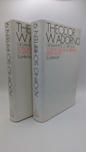 Soziologische Schriften II: Erste und zweite Häfte (=2 Bde) Gesammelte Schriften 9.1 und 9.2