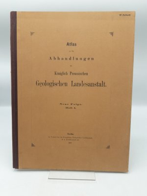 Atlas zu den Abhandlungen der Königlichen Preussischen Geologischen Landesanstalt. Neue Folge Heft 4 Robert Caspary: Die Flora des Bernsteins und anderer […]