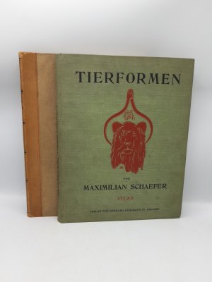 Tierformen - TEXTBAND und Atlas Vergleichende Studien über die Anatomie des Menschen und der Tiere für Künstler, Kunst-Handwerker sowie Dillettanten bearbeitet […]