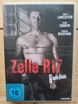 Zelle R 17 - Brute Force