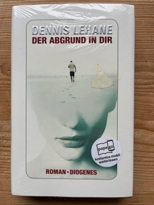 gebrauchtes Buch – Englische Literatur Amerikas – Der Abgrund in dir : Roman. ; aus dem Amerikanischen von Steffen Jacobs und Peter Torberg