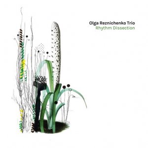Rhythm Dissection [Vinyl LP]