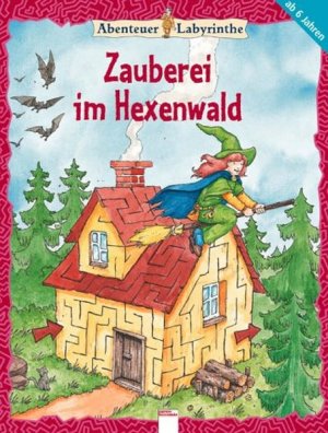 gebrauchtes Buch – Don-Oliver Matthies – Zauberei im Hexenwald