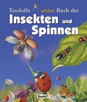 gebrauchtes Buch – Claire Llewellyn – Tessloffs erstes Buch der Insekten und Spinnen