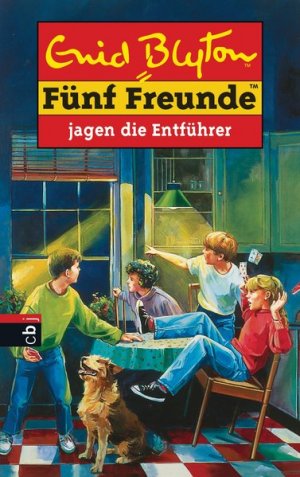 gebrauchtes Buch – Enid Blyton – Fünf Freunde, Neubearb., Bd.13, Fünf Freunde jagen die Entführer (Einzelbände, Band 13)