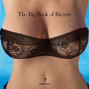 gebrauchtes Buch – The Big Book of Breasts