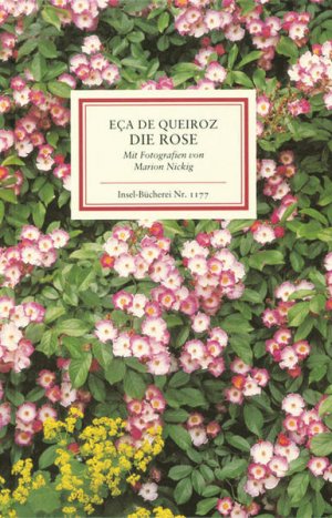 gebrauchtes Buch – Eça de Queiroz José, Maria – Die Rose