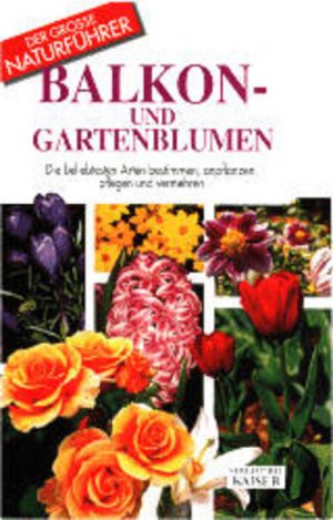 Balkon- und Gartenblumen: Die beliebtesten Arten bestimmen, anpflanzen, pflegen und vermehren