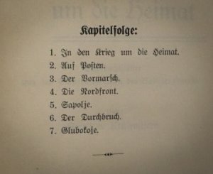 antiquarisches Buch – Krusenstjern, Georg von – M. G.-Mann im Baltenregiment : Tagebuchblätter. [Widmungsexemplar]