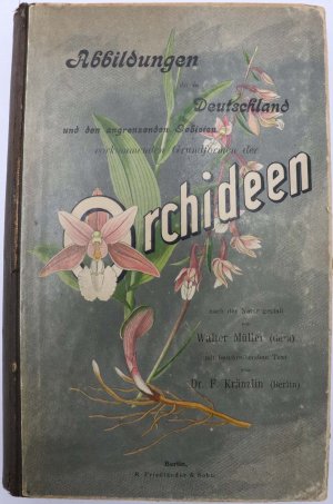 Abbildungen der in Deutschland und den angrenzenden Gebieten vorkommenden Grundformen der Orchideen-Arten