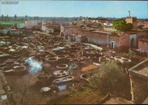 gebrauchtes Buch – Marrakech, Maroc, Tintoreros