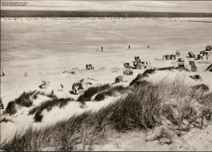 gebrauchtes Buch – Die schöne Nordseeinsel Amrum