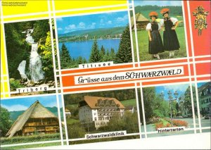 gebrauchtes Buch – Grüsse aus dem Schwarzwald, Ferienparadis Schwarzwald Mehrbildkarte